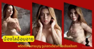 น้องไลอ้อนอาย VK